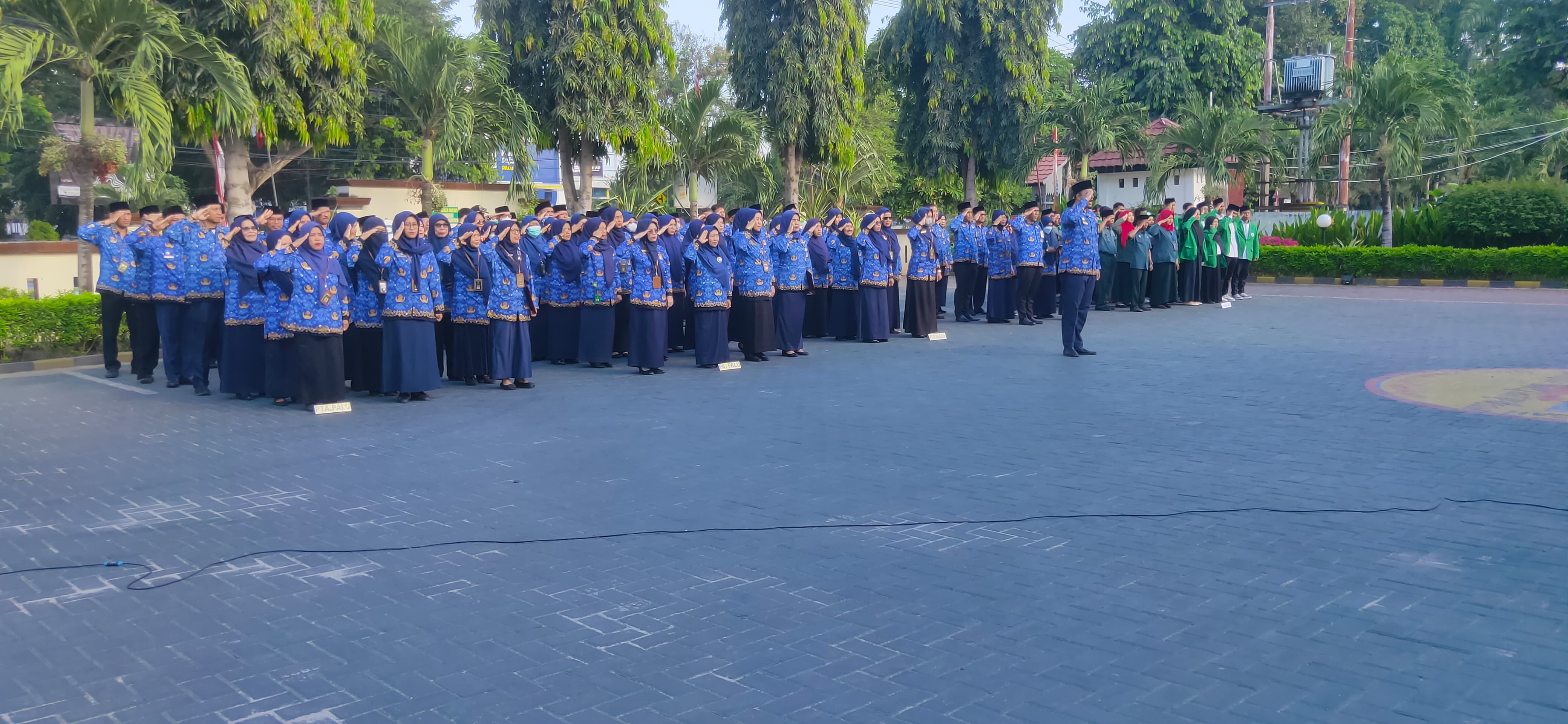 008d7b86 13e2 4e7a 95d8 349b523df599