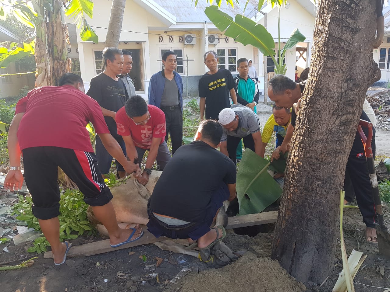 fc37975a 8078 4f58 bfbc 88816291d1f2